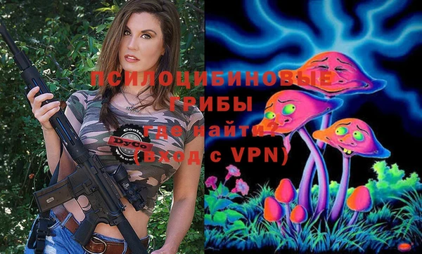 стаф Балахна