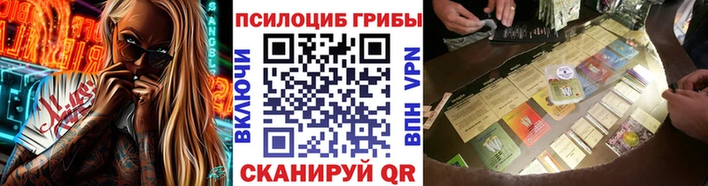 магазин    Катайск  Галлюциногенные грибы Psilocybe 