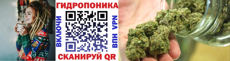 Конопля Bruce Banner  цена   Катайск 